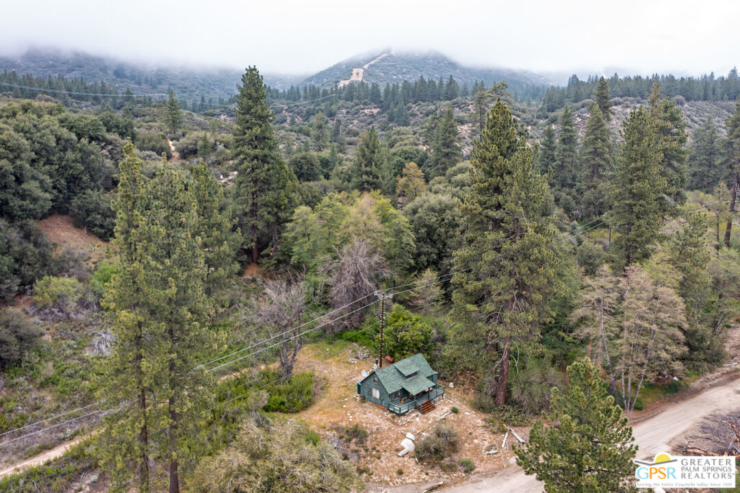 69 7 Oaks Road Angelus Oaks, CA 92305 - Photo 31 of 36 a view of a city with lush green forest