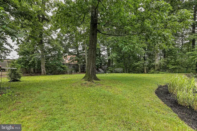 a view of a trees with a yard