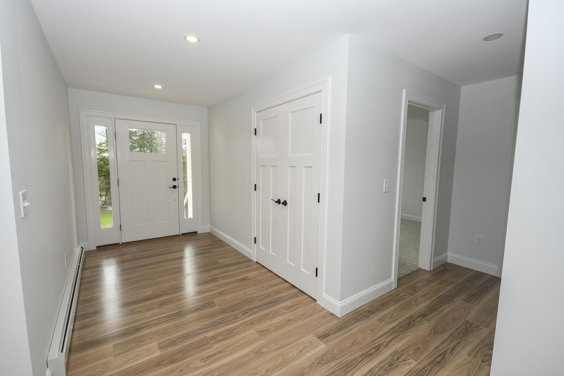 Lot #8 Ward Road Sebago, ME 04029 - Photo 14 of 43 20DSC_5861