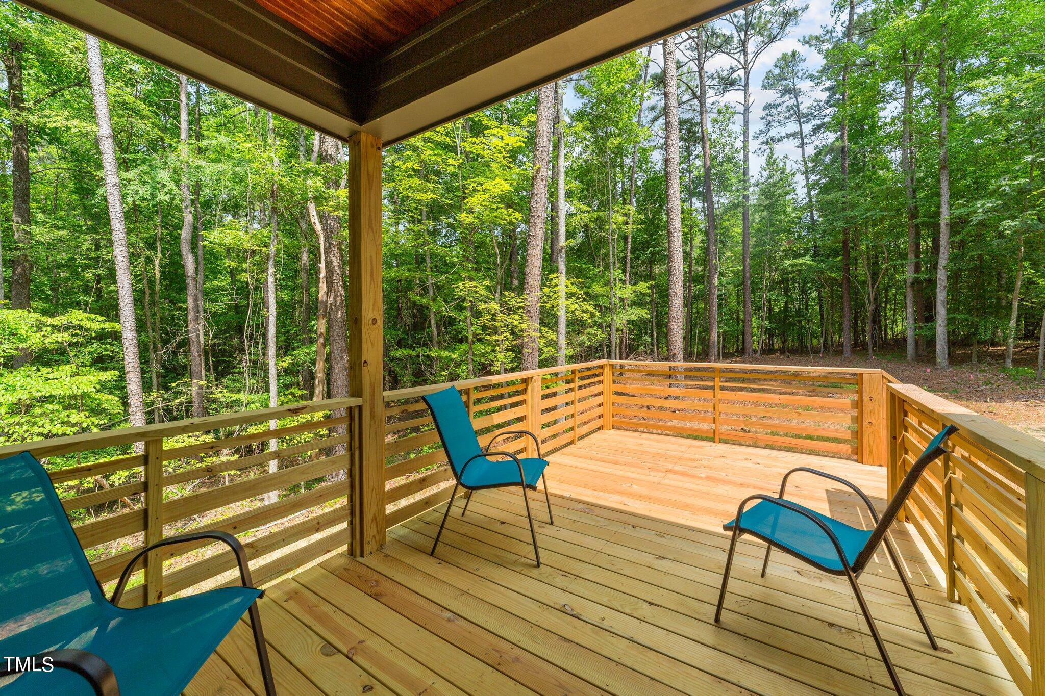 202 Sacred Fire Road Louisburg, NC 27549 - Photo 57 of 70 56-web-or-mls-VB4A8591