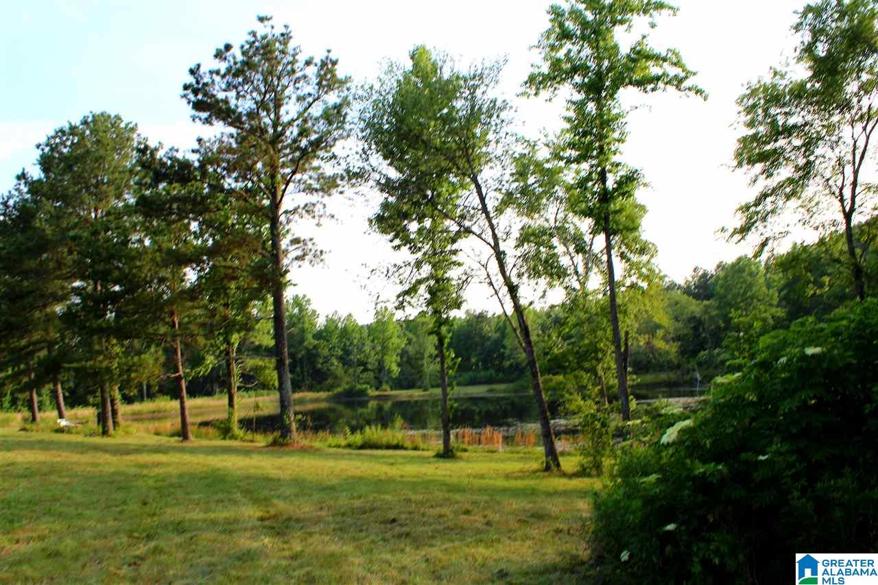 0 County Road 852 Bremen, AL 35033 - Photo 11 of 11