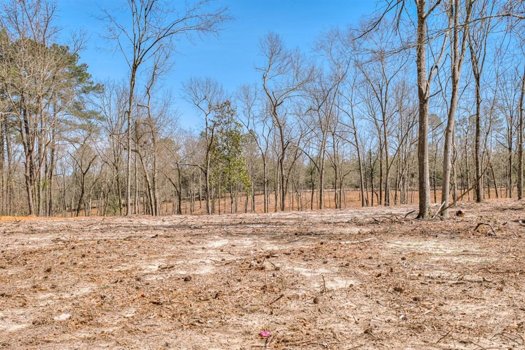273 Redds Branch Road Aiken, SC 29801 - Photo 10 of 52