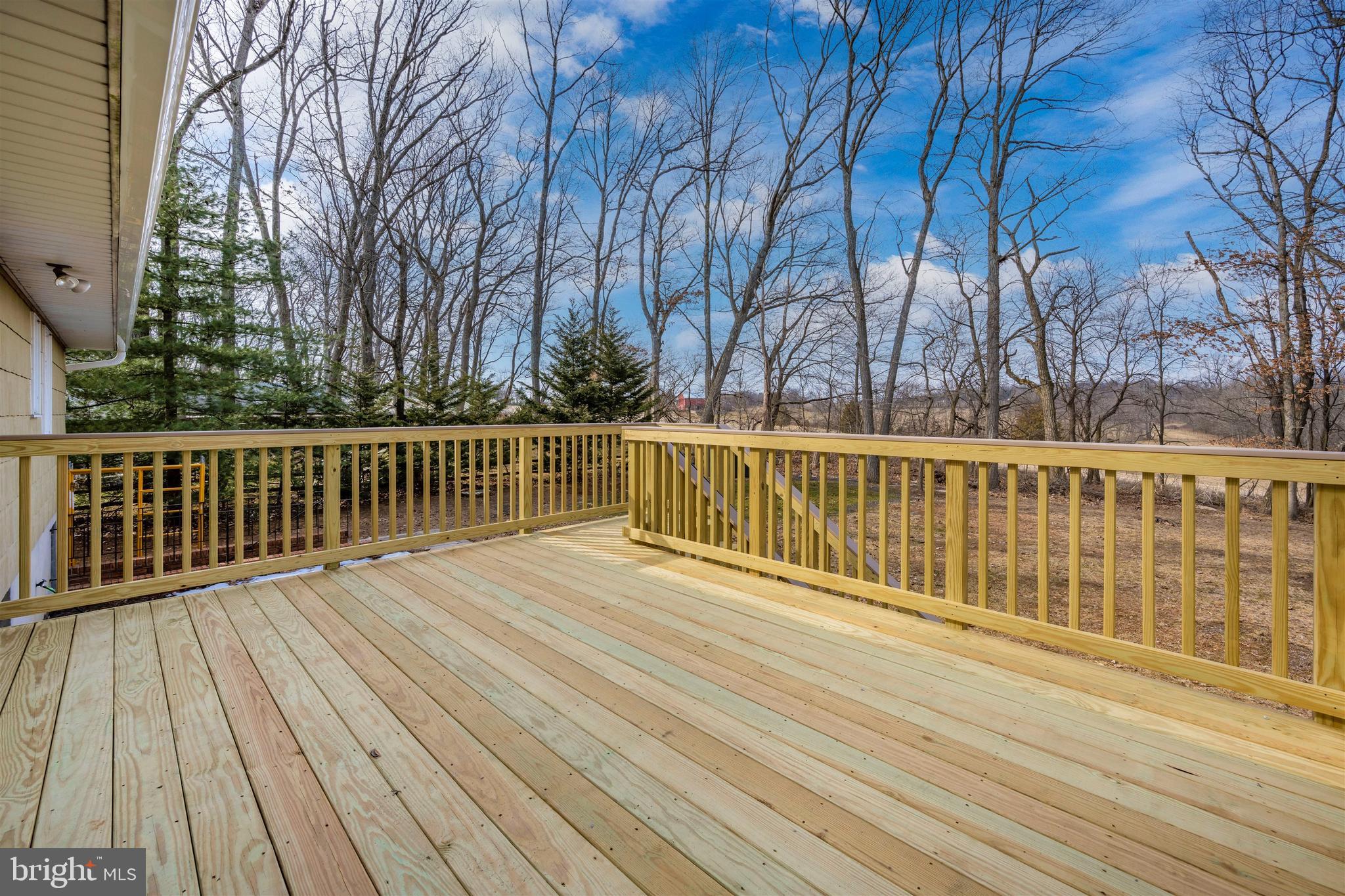 2908 Timber Ridge Drive Mount Airy, MD 21771 - Photo 44 of 60 Brand New Deck
