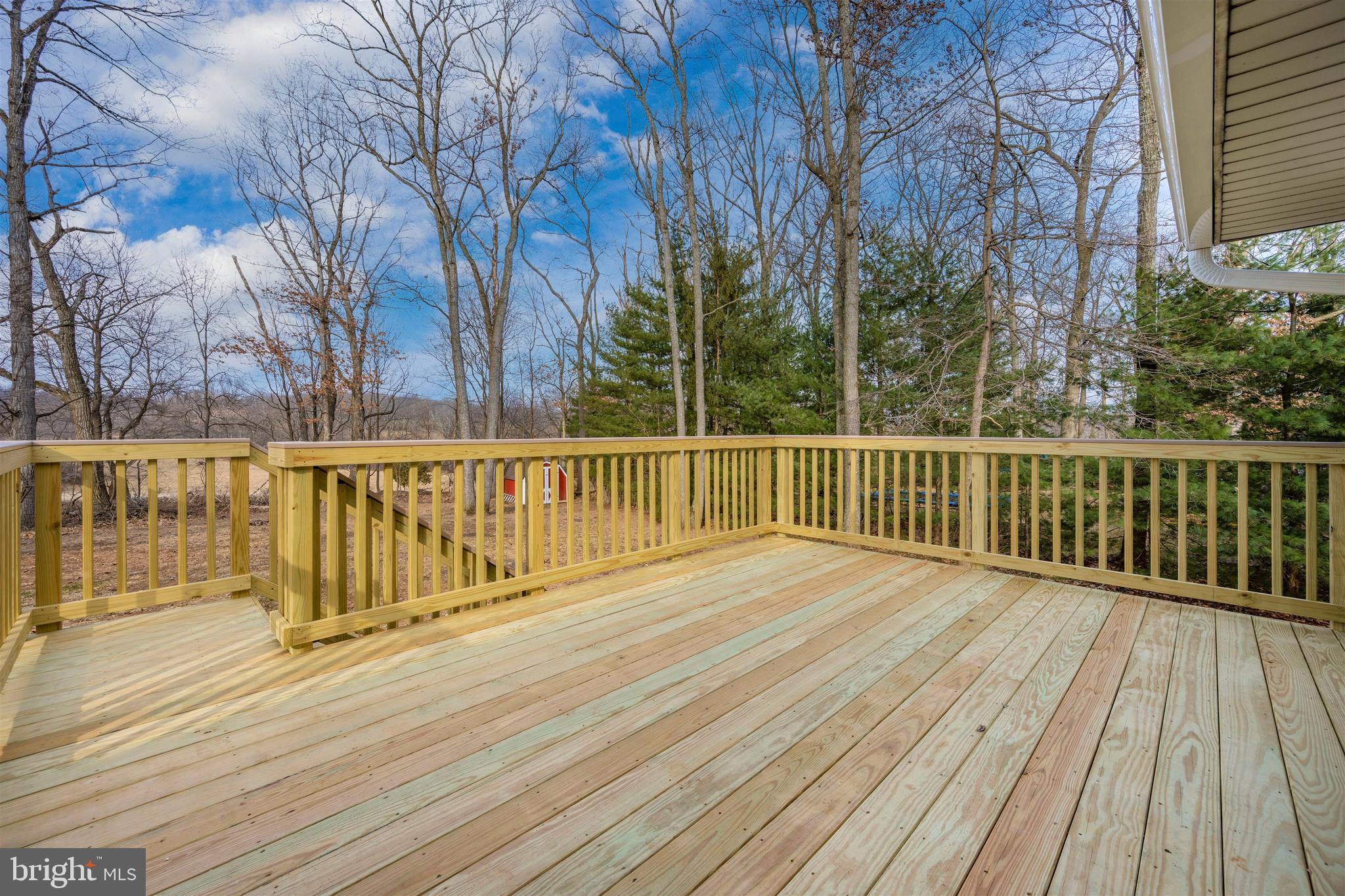2908 Timber Ridge Drive Mount Airy, MD 21771 - Photo 45 of 60 Brand New Deck