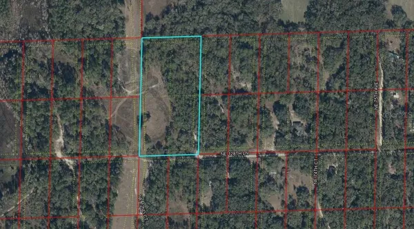 a view of a forest with a house and a forest