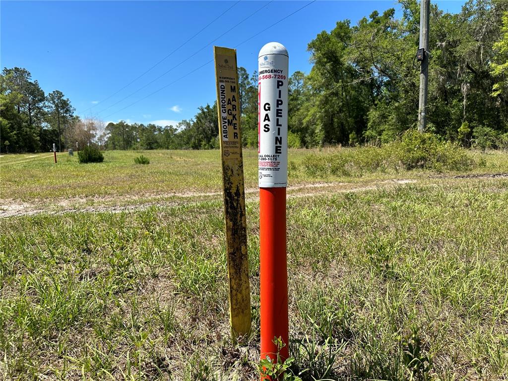 Tbd Northeast 128 Lane Bronson, FL 32621 - Photo 11 of 15