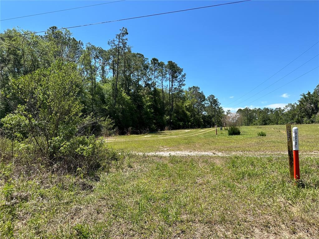 Tbd Northeast 128 Lane Bronson, FL 32621 - Photo 12 of 15