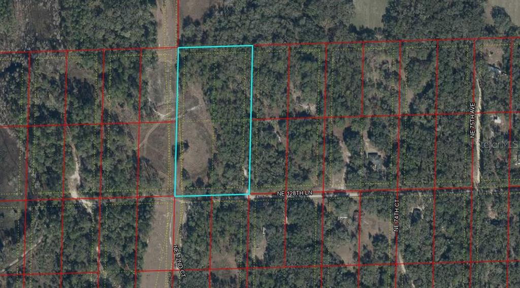 Tbd Northeast 128 Lane Bronson, FL 32621 - Photo 4 of 15