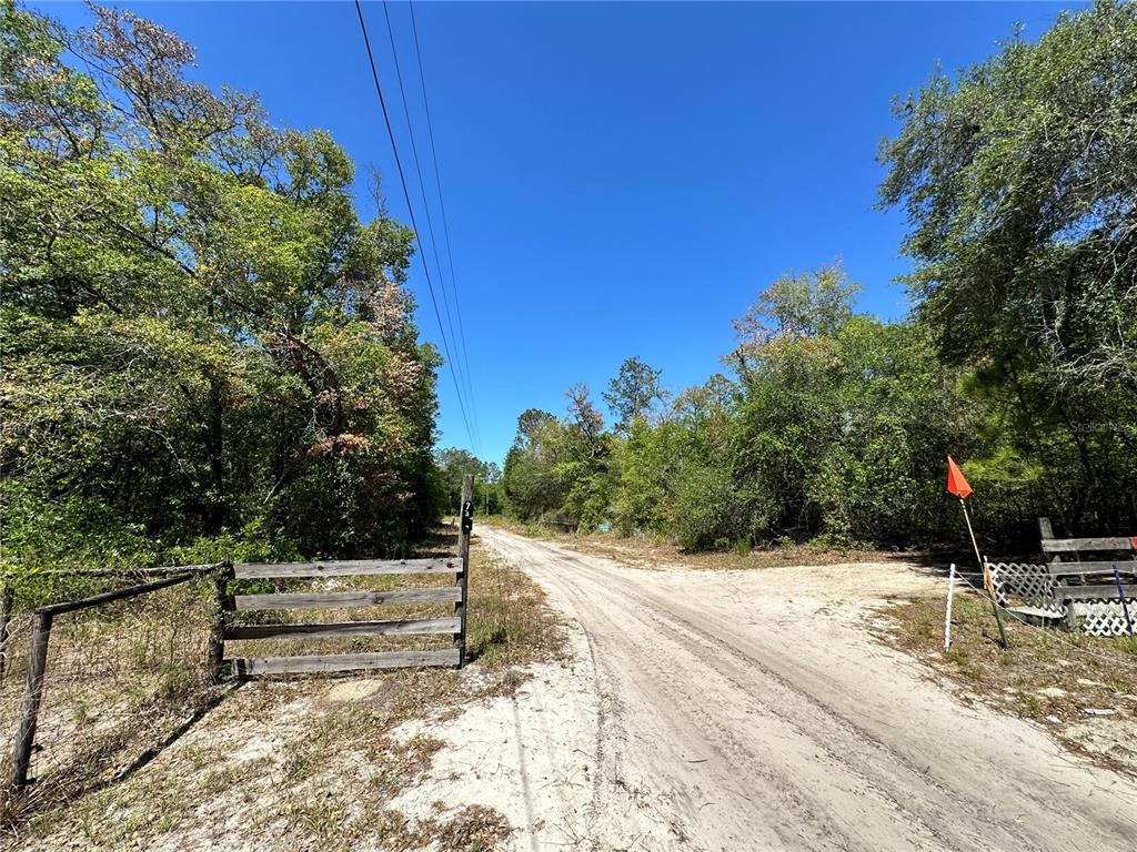 Tbd Northeast 128 Lane Bronson, FL 32621 - Photo 7 of 15