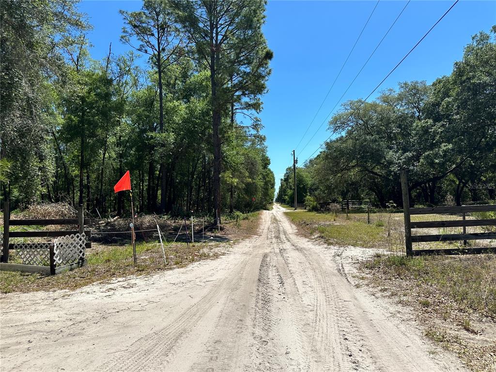 Tbd Northeast 128 Lane Bronson, FL 32621 - Photo 8 of 15