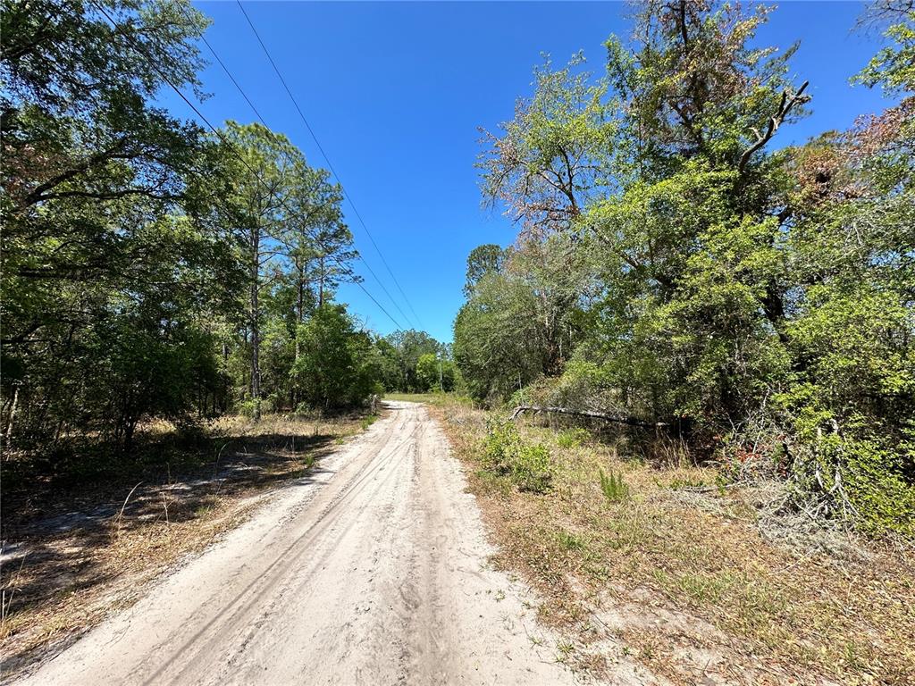 Tbd Northeast 128 Lane Bronson, FL 32621 - Photo 9 of 15