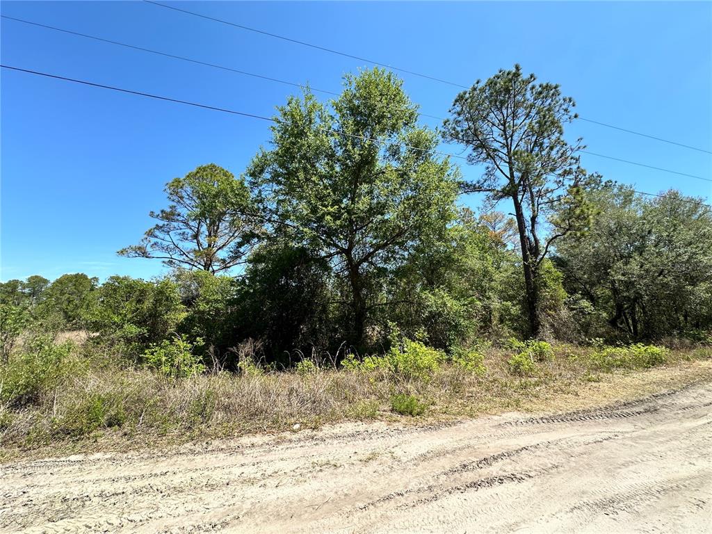 Tbd Northeast 128 Lane Bronson, FL 32621 - Photo 10 of 15