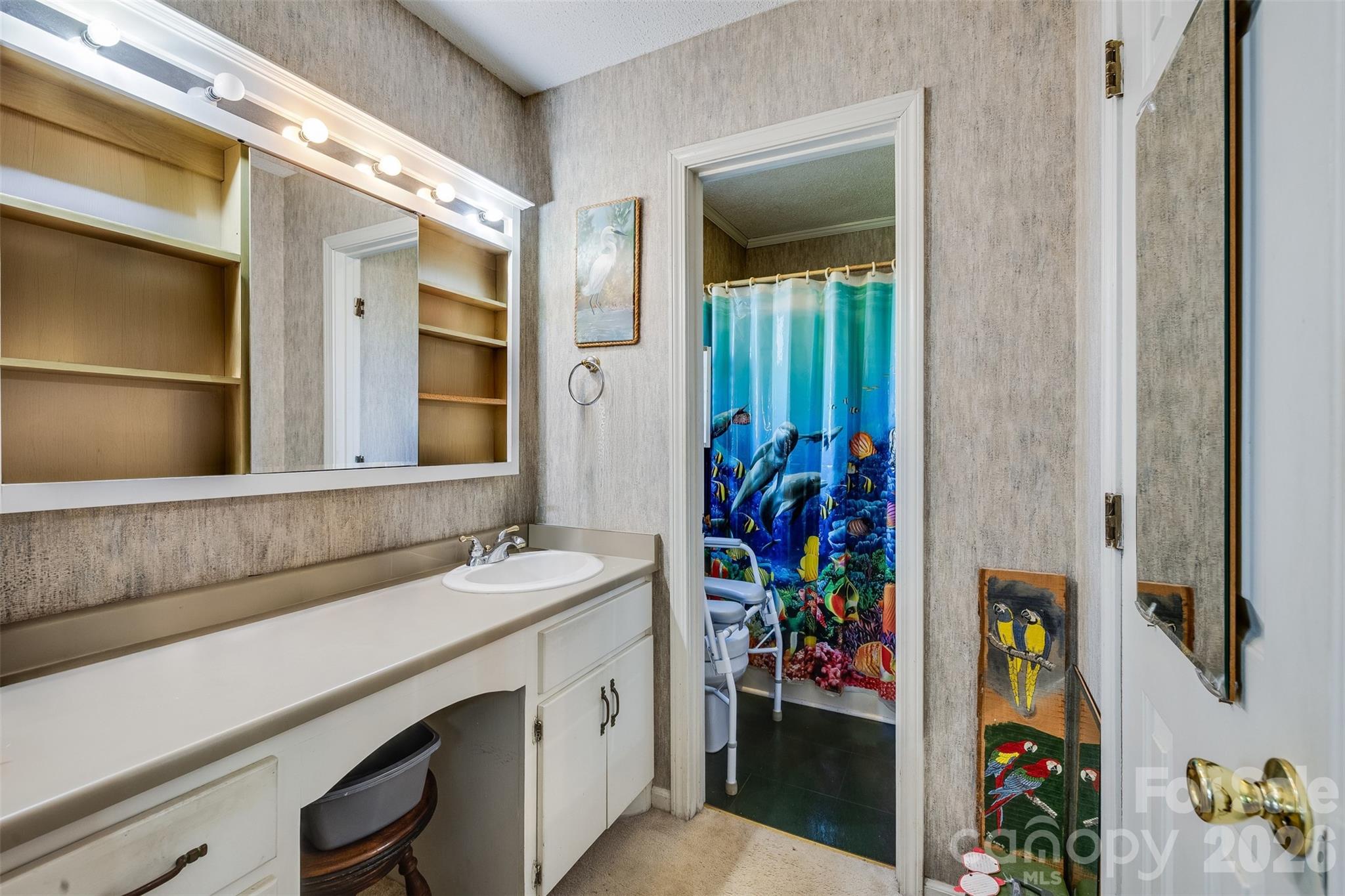188 Oak Forest Circle Gaffney, SC 29341 - Photo 15 of 24 a bathroom with a sink and a mirror