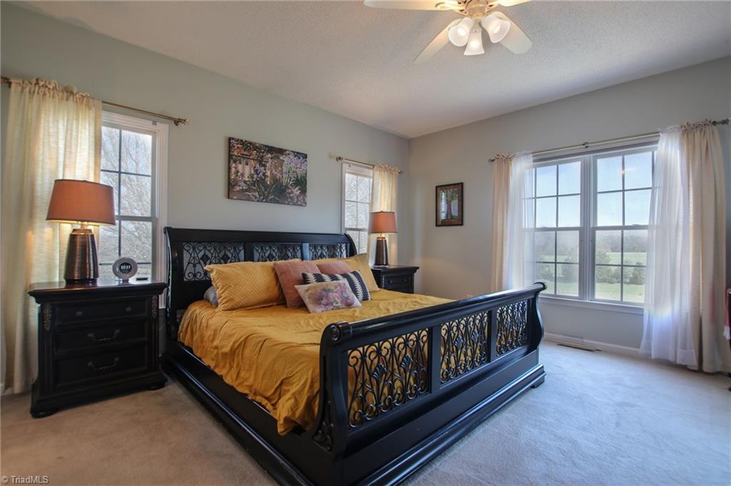 9252 Riverside Road Seagrove, NC 27341 - Photo 16 of 30 Master w/ views of back and side yard