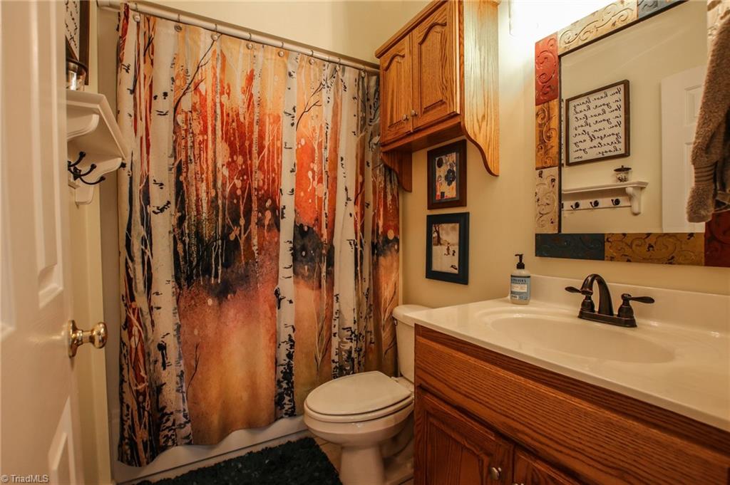 9252 Riverside Road Seagrove, NC 27341 - Photo 20 of 30 Downstairs bathroom #2