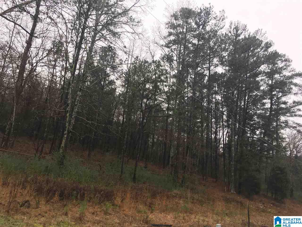 1285 Eureka Road, Unit 1 Lincoln, AL 35096 - Photo 13 of 37