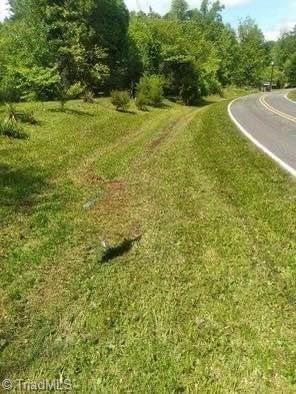 4560 Mecum Road Walkertown, NC 27051 - Photo 3 of 10