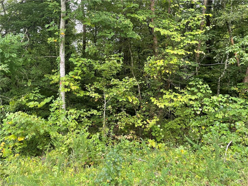 4560 Mecum Road Walkertown, NC 27051 - Photo 8 of 10