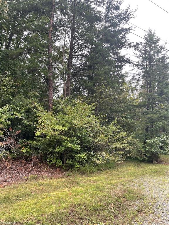 4560 Mecum Road Walkertown, NC 27051 - Photo 9 of 10