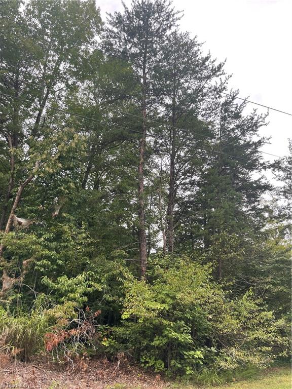 4560 Mecum Road Walkertown, NC 27051 - Photo 10 of 10