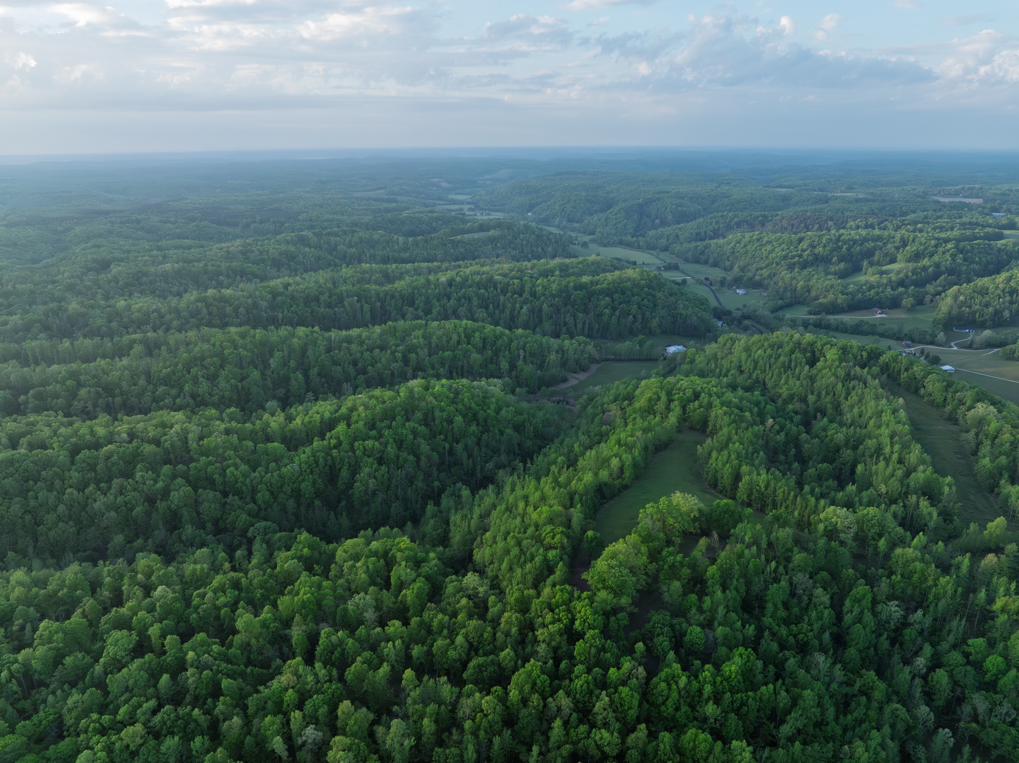 2073 Dog Branch Road Prospect, TN 38477 - Photo 56 of 59