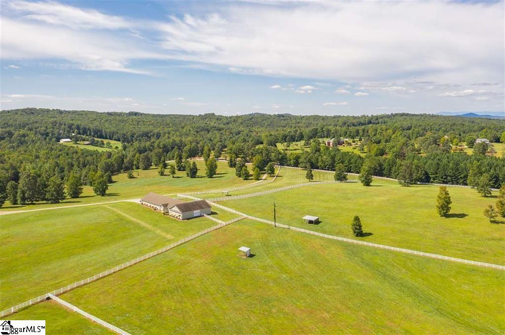4489 Hawkins Road Landrum, SC 29356 - Photo 3 of 25