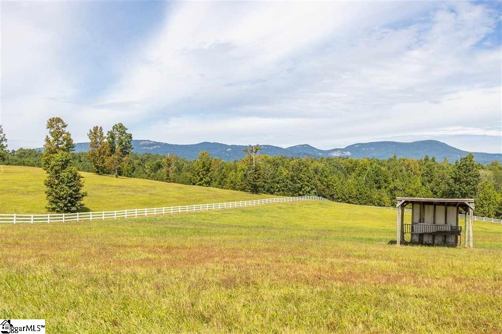 4489 Hawkins Road Landrum, SC 29356 - Photo 8 of 25