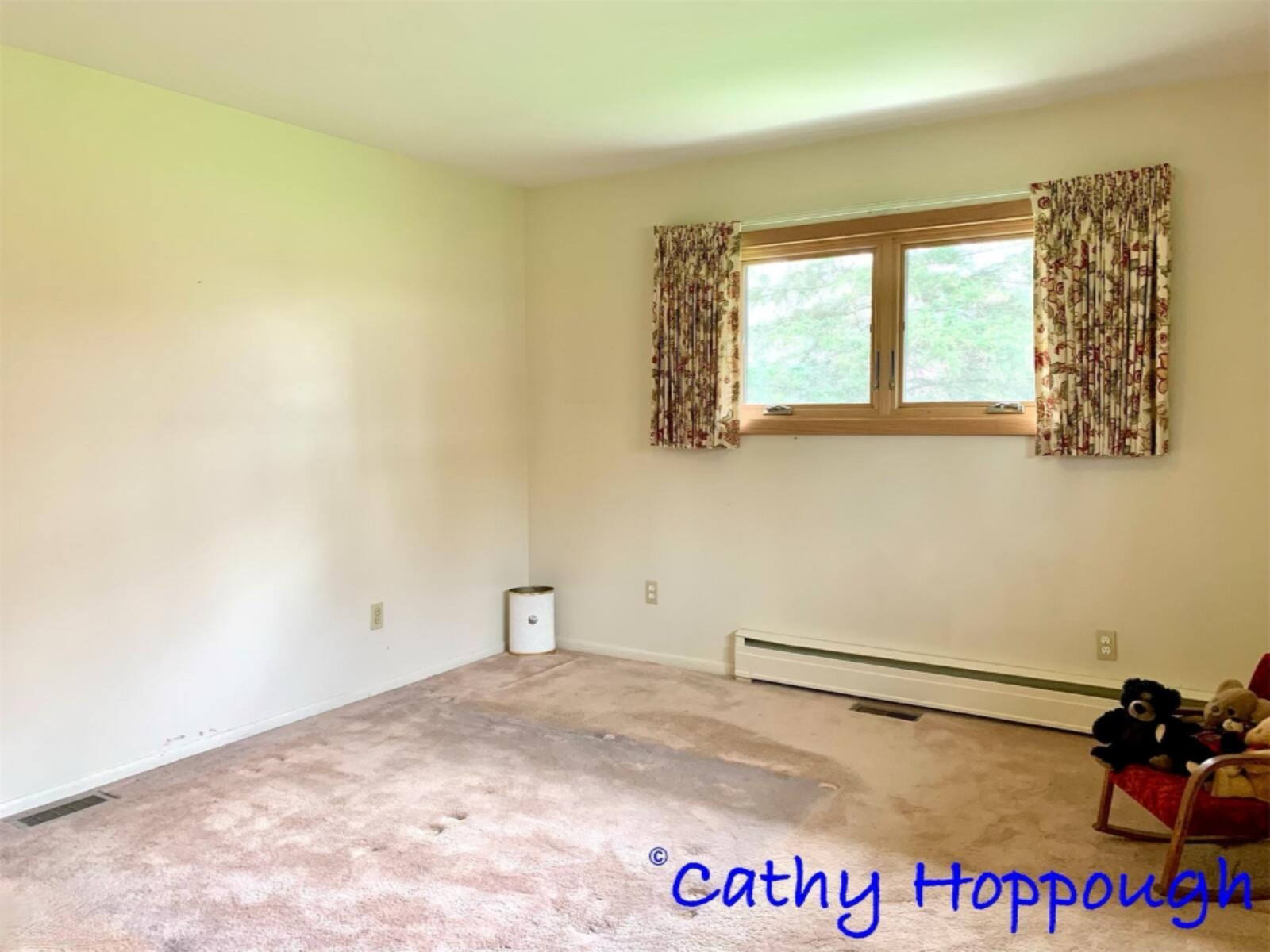 1861 Dick Road Ionia, MI 48846 - Photo 12 of 32 BB36DDC9-B048-4F52-8B64-A7781762BD44