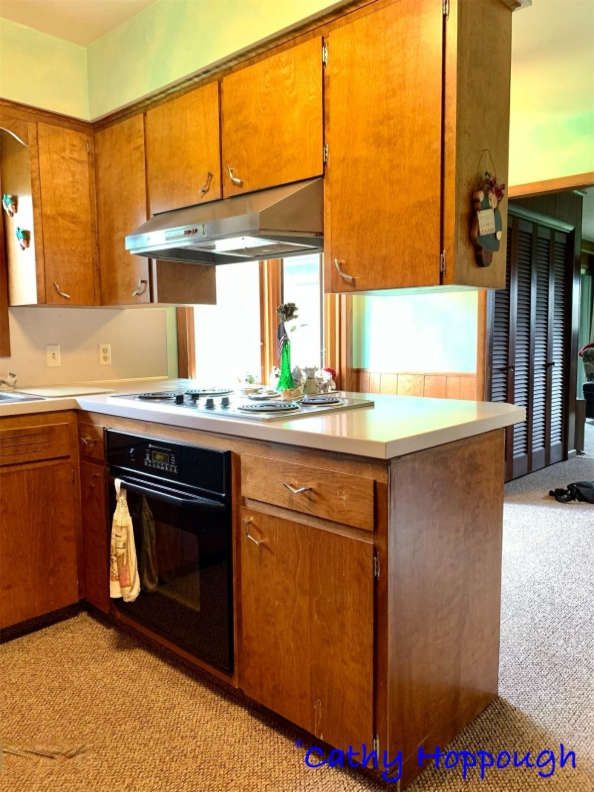 1861 Dick Road Ionia, MI 48846 - Photo 6 of 32 A1578D0A-90D5-4269-A187-8BDED1FF5D6D