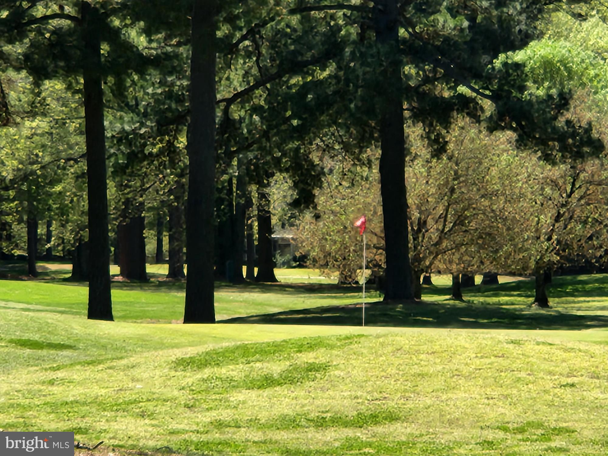 14610 Honeysuckle Way Issue, MD 20645 - Photo 51 of 52 Golf Course