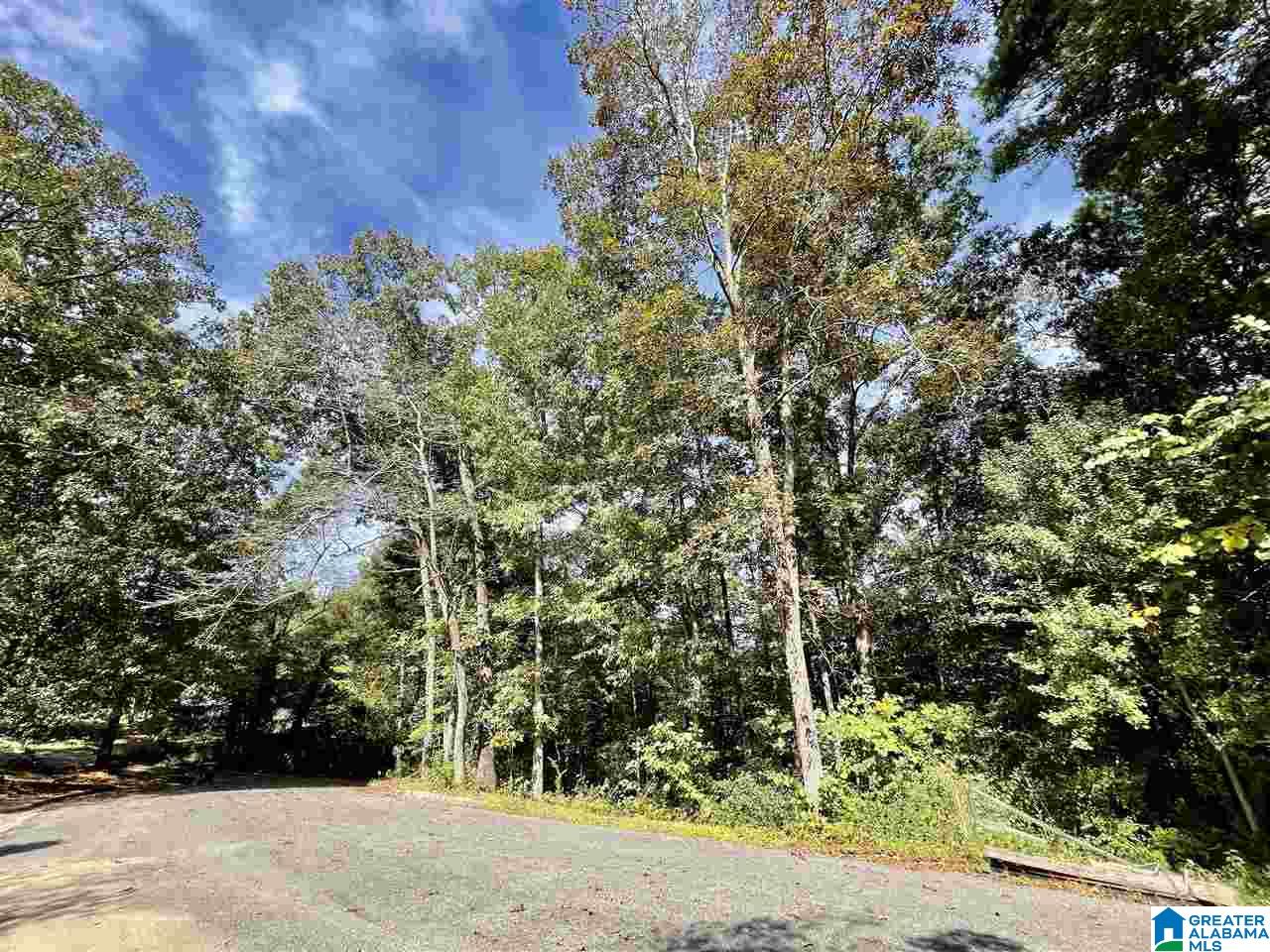 0 Shady Lane Cullman, AL 35055 - Photo 5 of 6