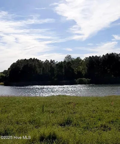 $35,000 | 134 Sycamore Lakes Drive, Wallace, NC 28466