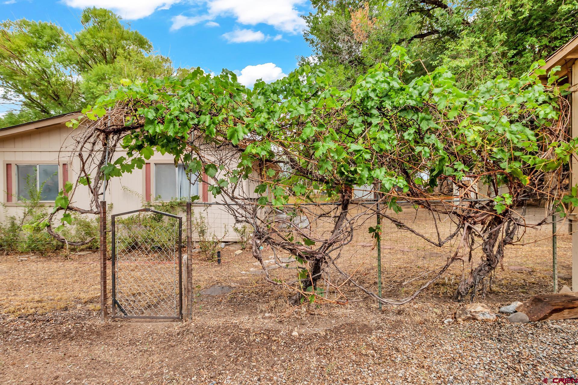 400 Riley Lane Delta, CO 81416 - Photo 31 of 35 a view of a backyard