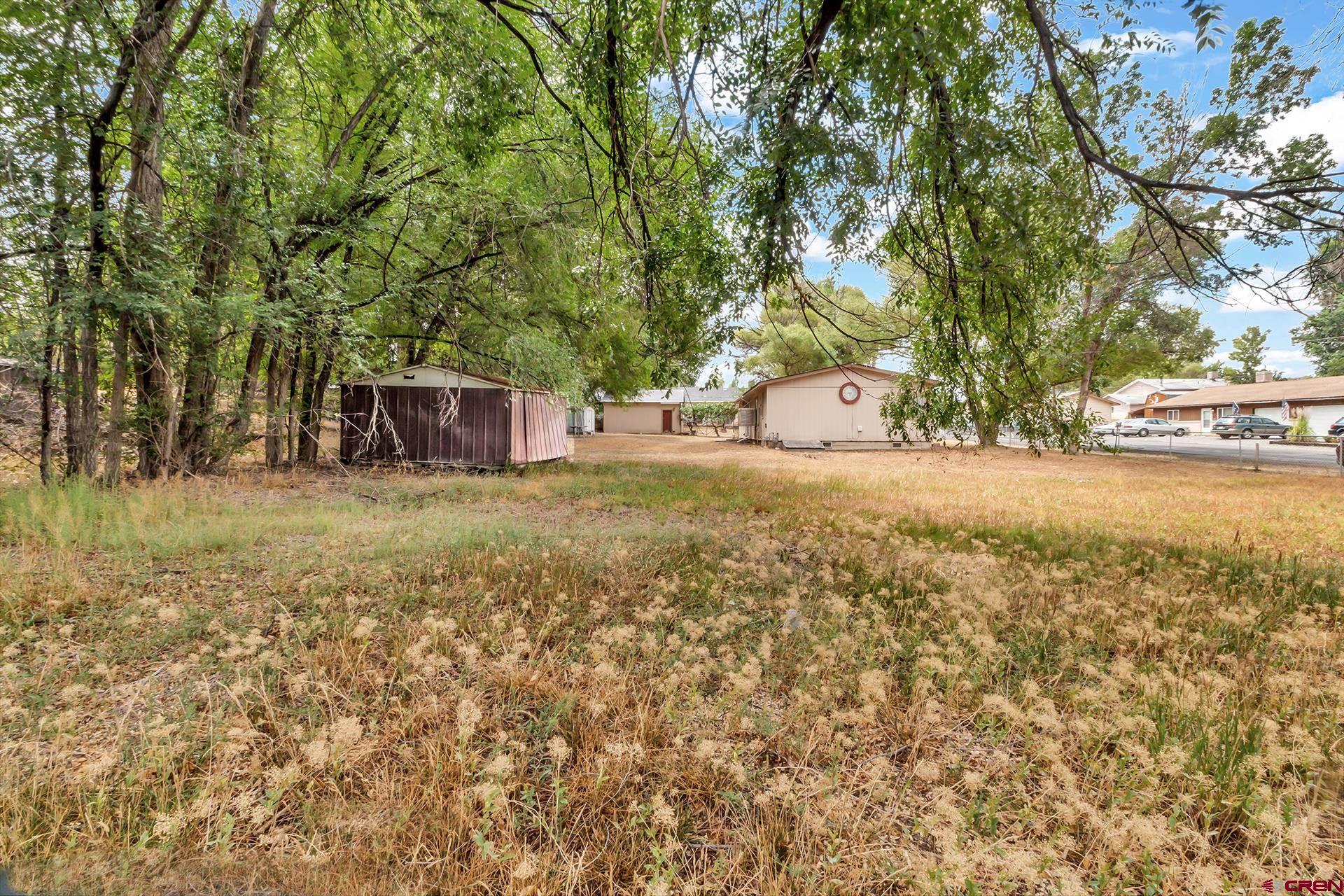 400 Riley Lane Delta, CO 81416 - Photo 35 of 35 a view of a yard with an tree