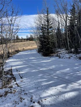 a view of a yard with large trees