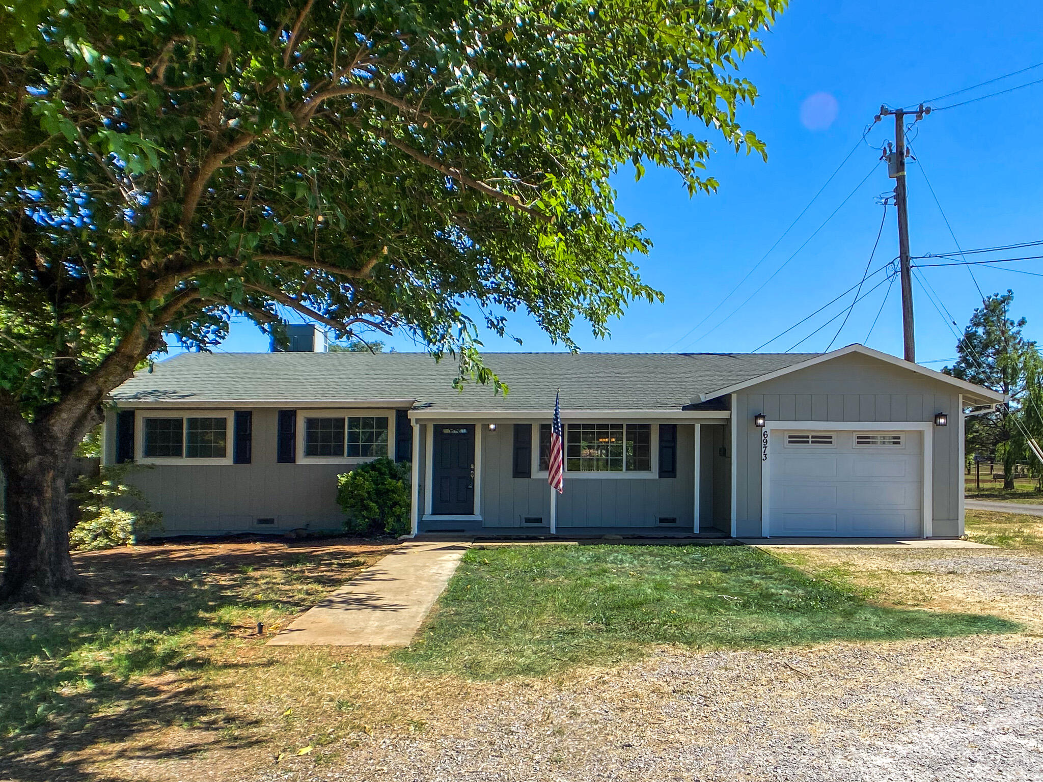 a view of a house with a yard plants and large tree