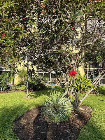 a view of a chairs and table in backyard