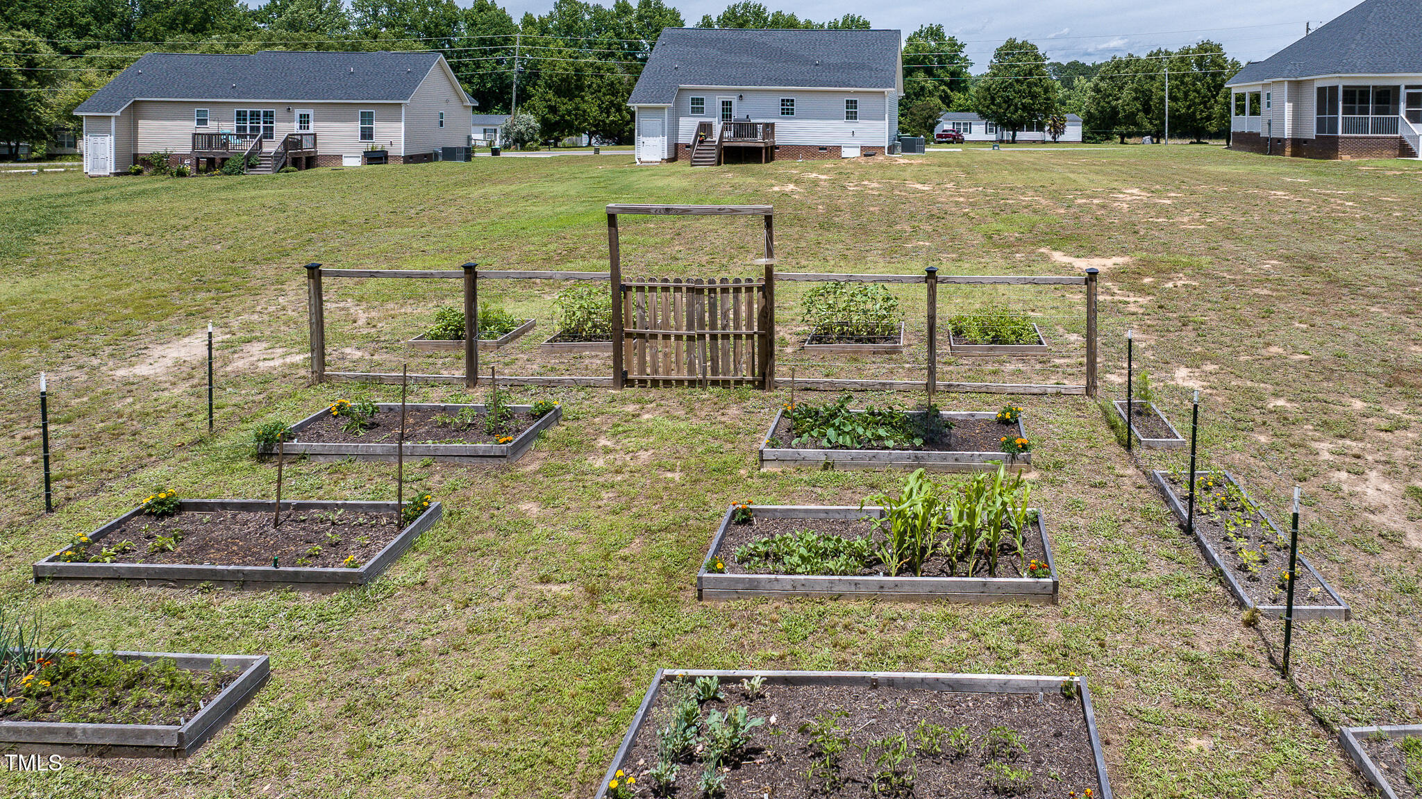 7045 Finch Road Bailey, NC 27807 - Photo 34 of 44 7045-Backyard3-a