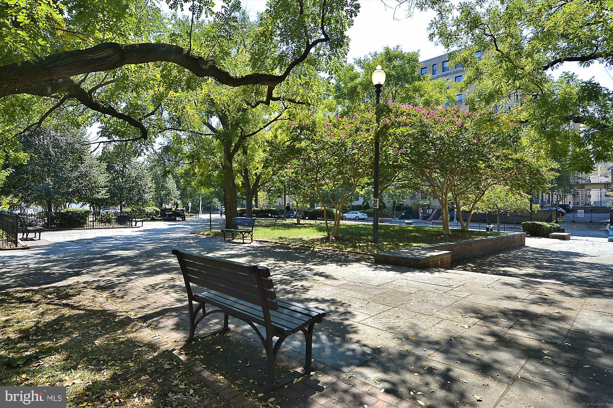 1390 Kenyon Street Northwest, Unit 416 Washington, DC 20010 - Photo 56 of 58 a view of a park with bench and trees