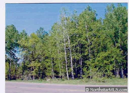 212 Military Road, Unit 3158 Bruno, MN 55072 - Photo 1 of 1 Gallery Image 1