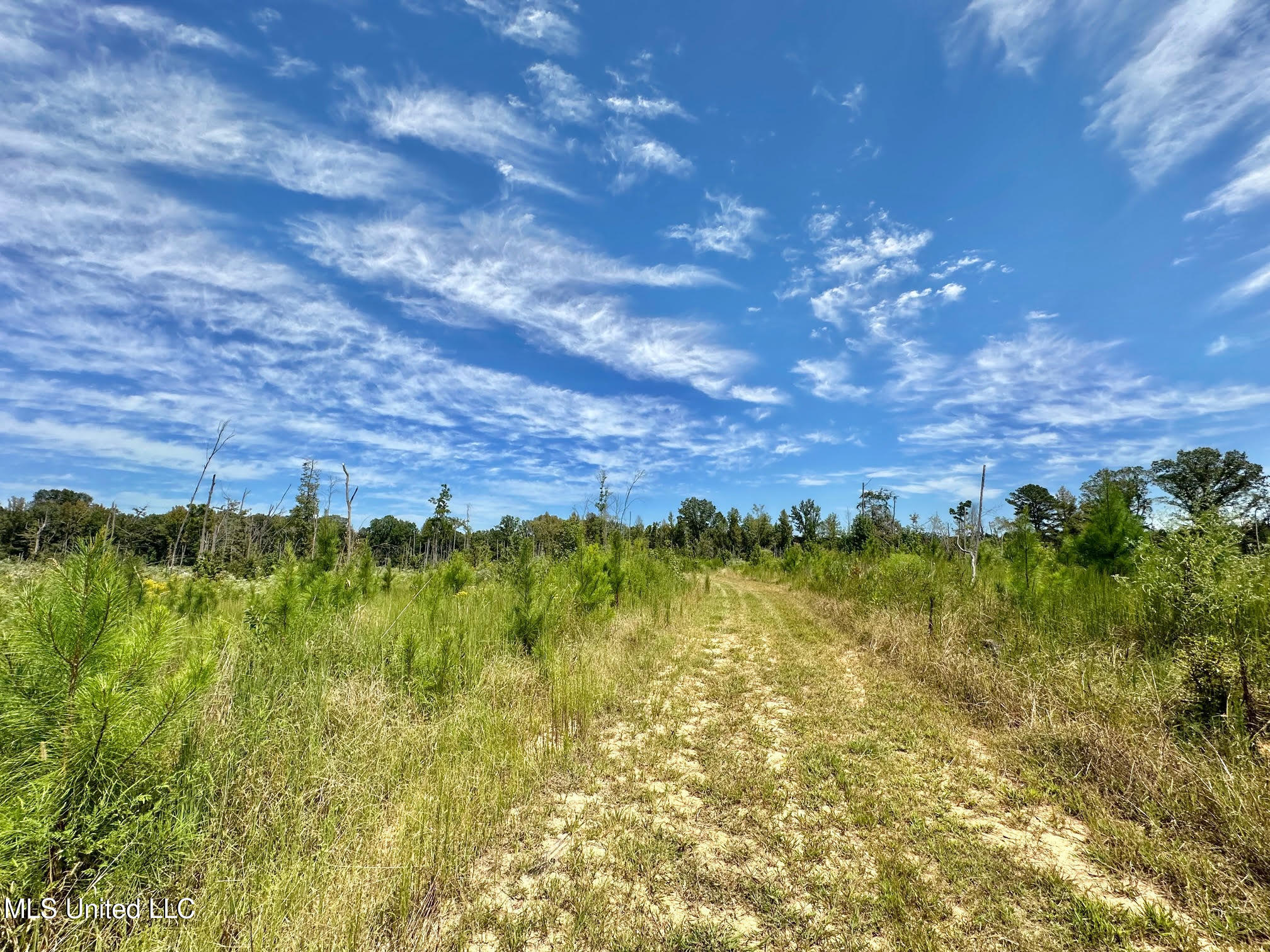 133 Ross Road Camden, MS 39045 - Photo 13 of 63 12