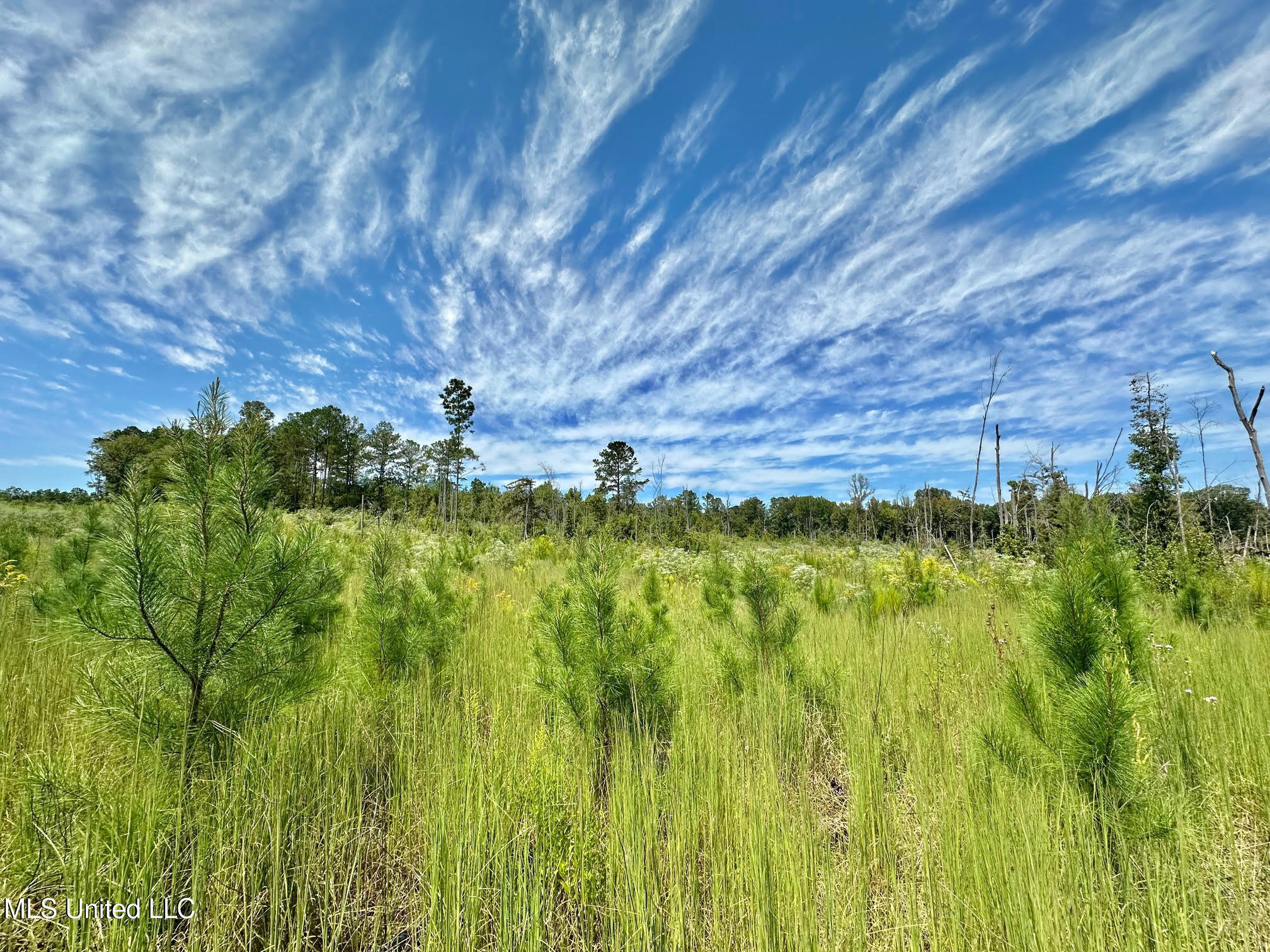133 Ross Road Camden, MS 39045 - Photo 14 of 63 13