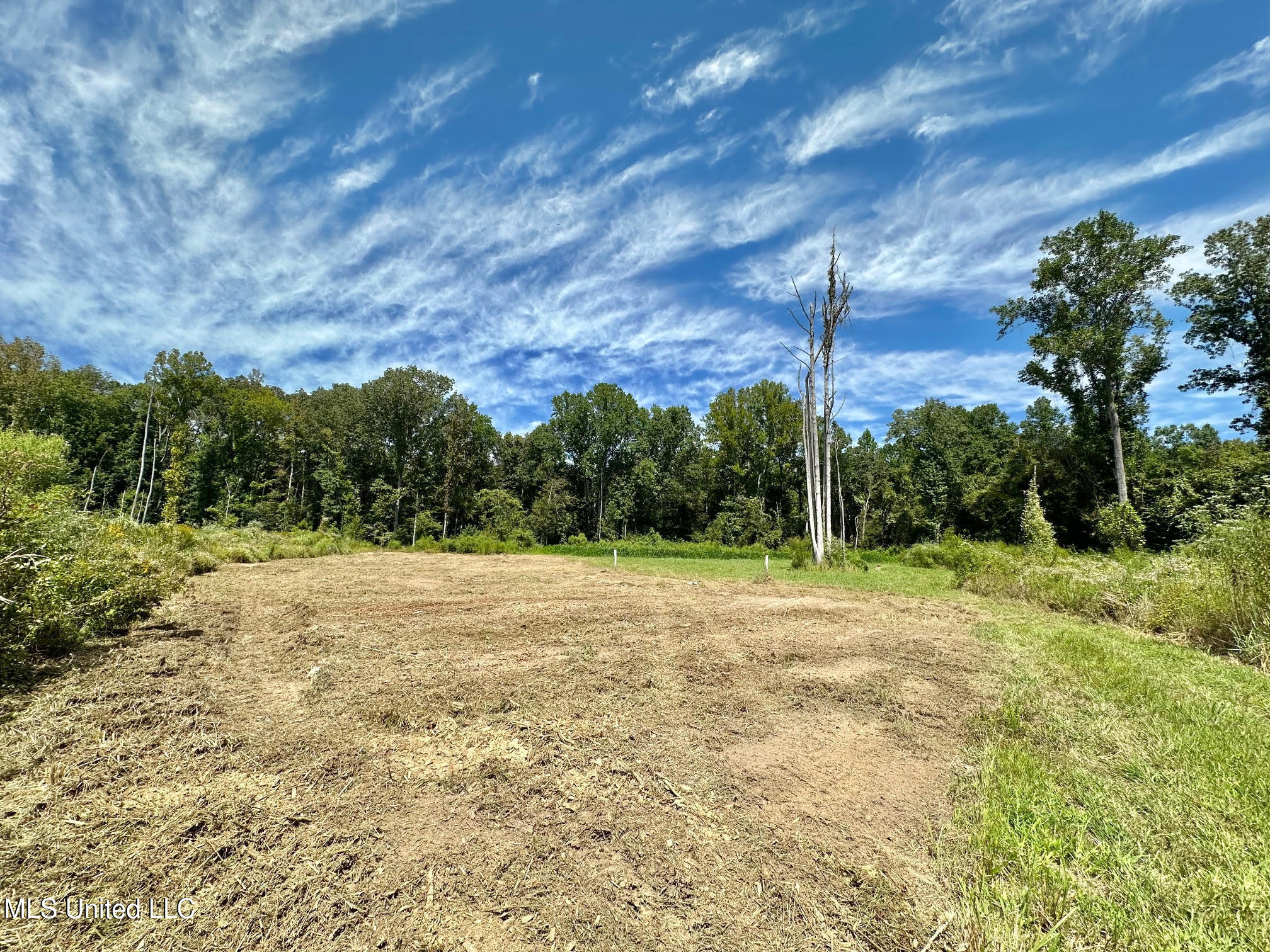 133 Ross Road Camden, MS 39045 - Photo 15 of 63 14