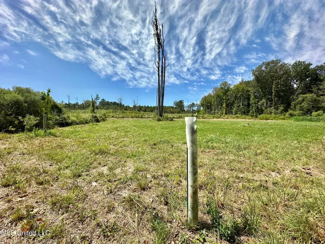 $205,000 | 133 Ross Road, Camden, MS 39045