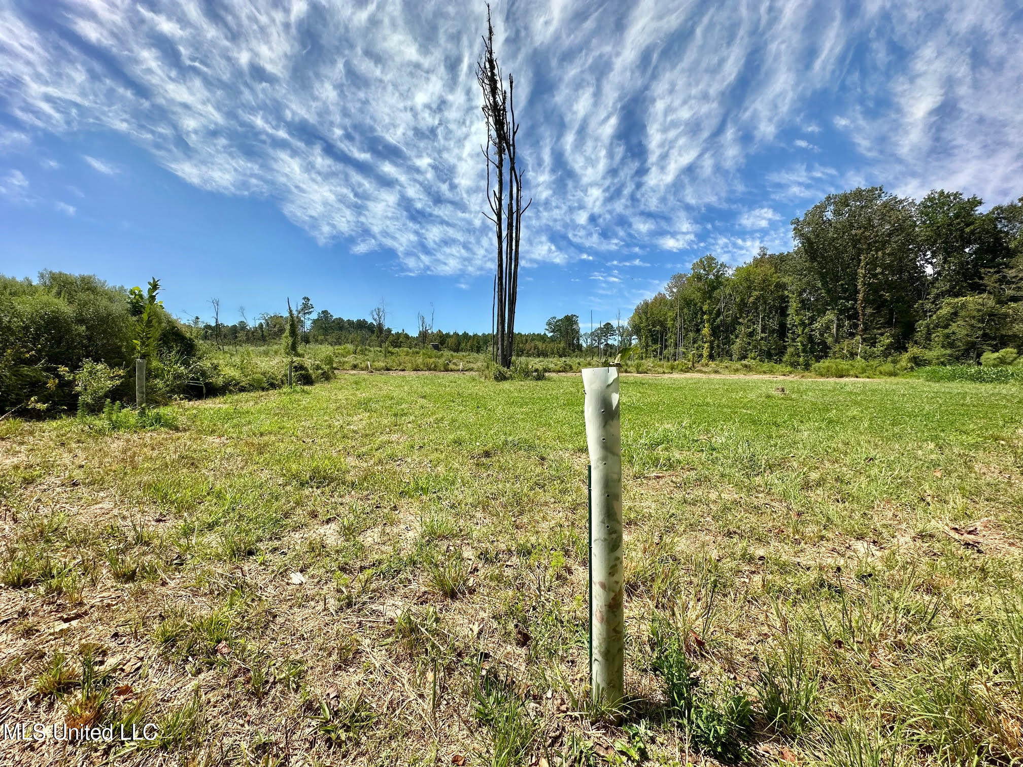 133 Ross Road Camden, MS 39045 - Photo 17 of 63 16