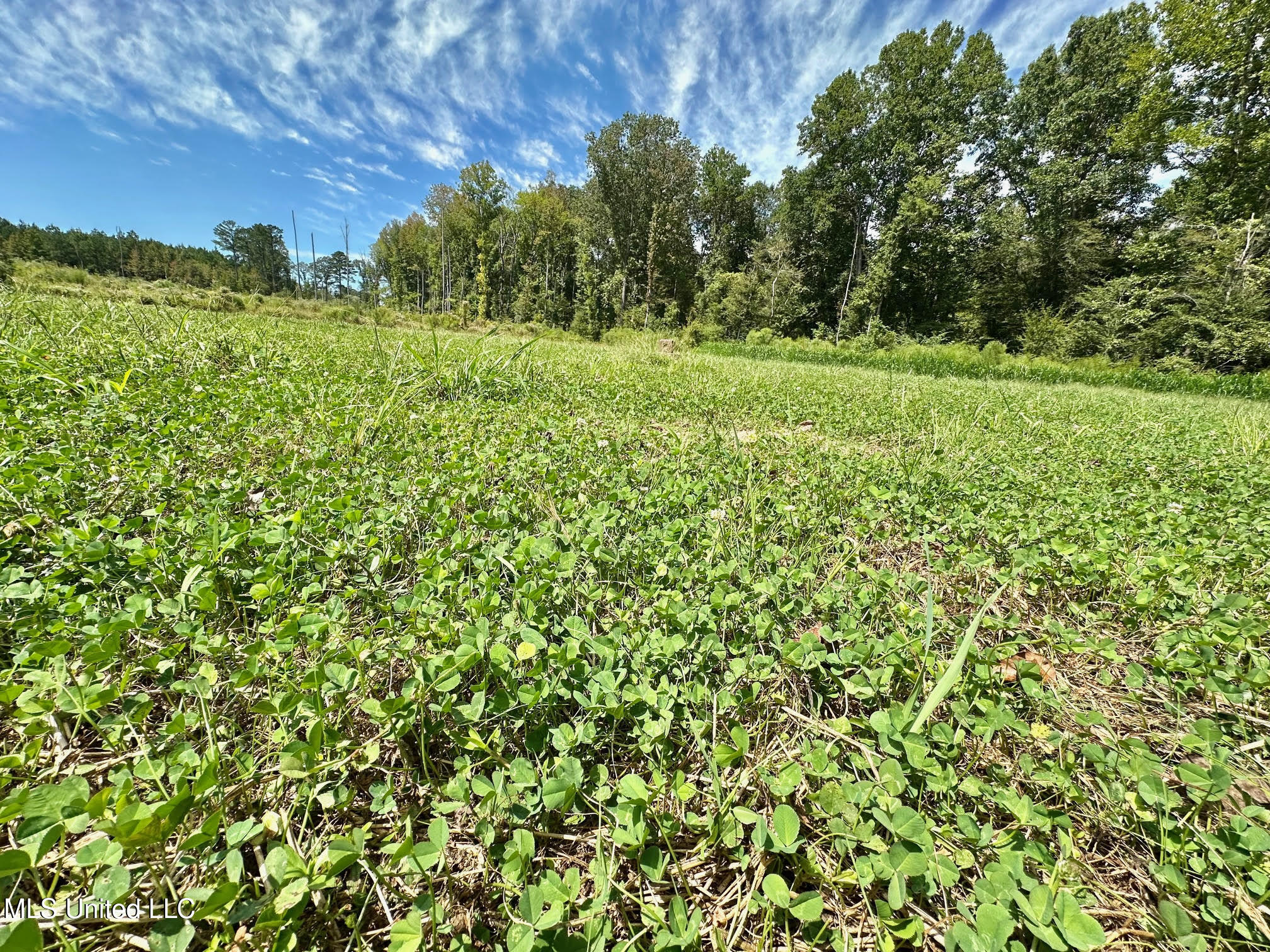 133 Ross Road Camden, MS 39045 - Photo 18 of 63 17