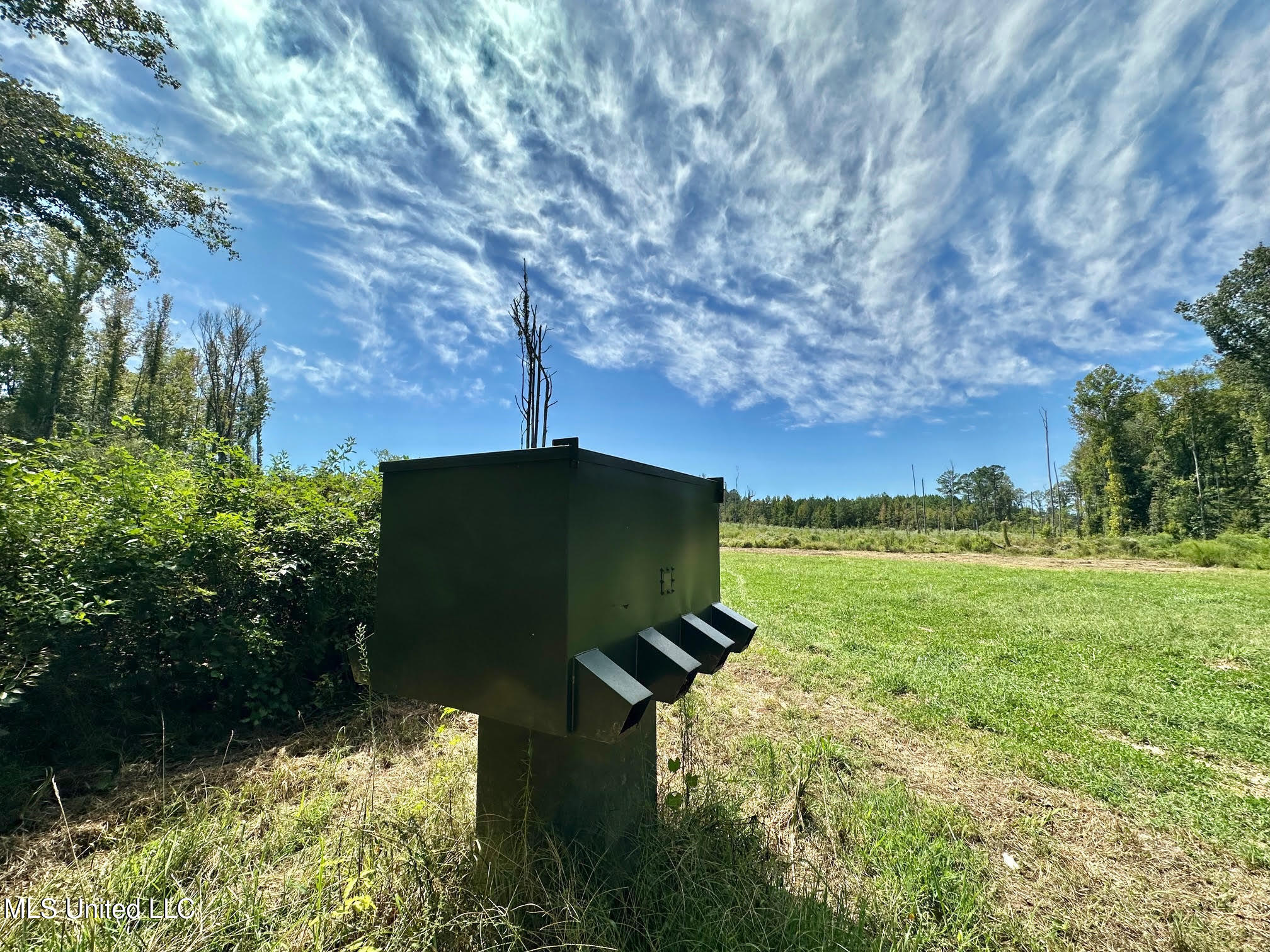 133 Ross Road Camden, MS 39045 - Photo 19 of 63 18