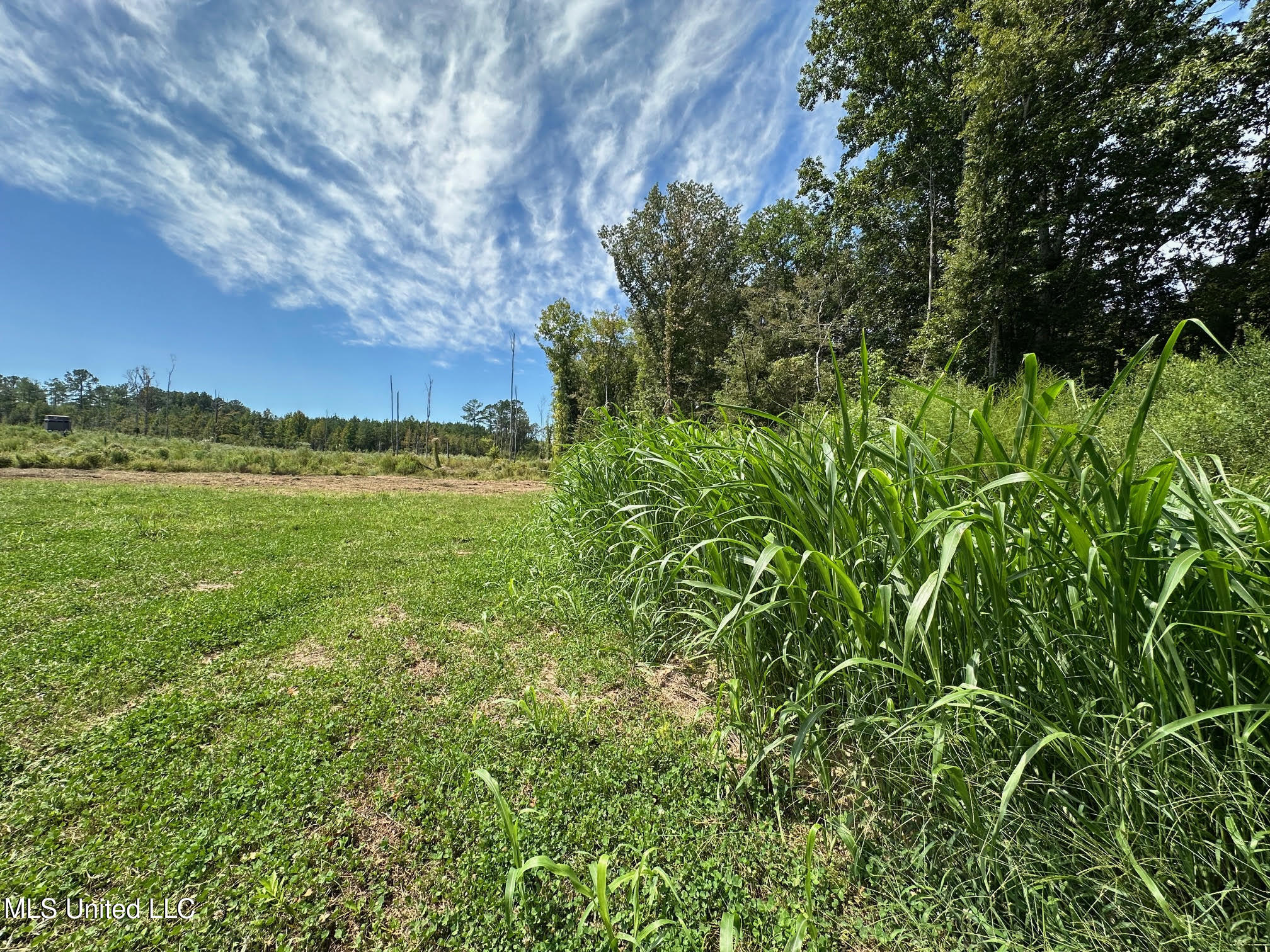 133 Ross Road Camden, MS 39045 - Photo 20 of 63 19