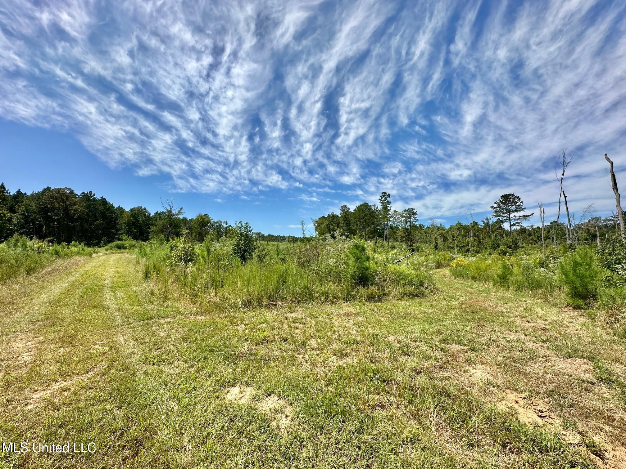 133 Ross Road Camden, MS 39045 - Photo 22 of 63 21