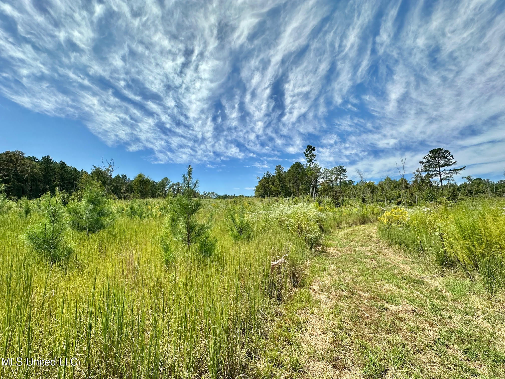 133 Ross Road Camden, MS 39045 - Photo 23 of 63 22